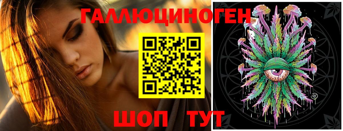 Галлюциногенные грибы Psilocybine cubensis Железногорск